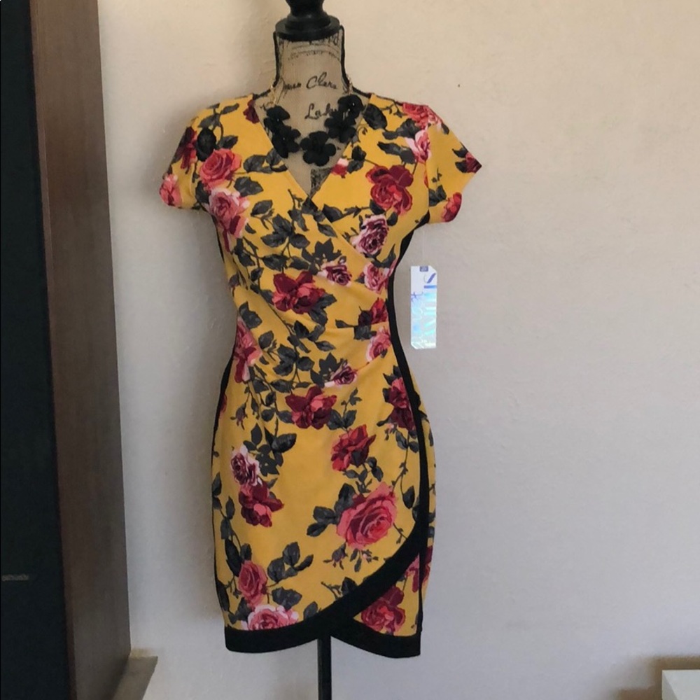 Almost Famous Floral Dress ~ New